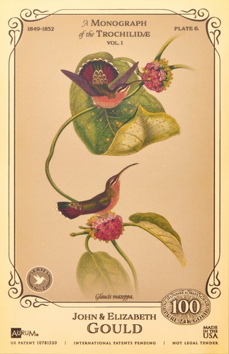 100 gould hummingbird - mg,