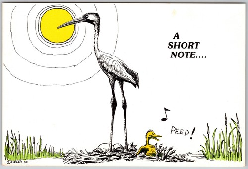 Humor short note - humor, hatchling